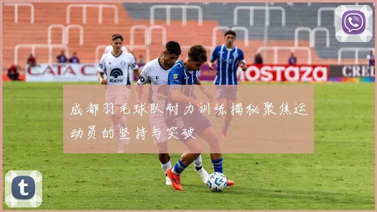 成都羽毛球队耐力训练揭秘聚焦运动员的坚持与突破