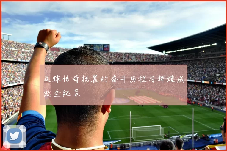 足球传奇杨晨的奋斗历程与辉煌成就全纪录