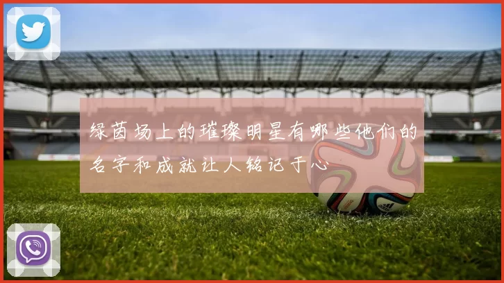 绿茵场上的璀璨明星有哪些他们的名字和成就让人铭记于心
