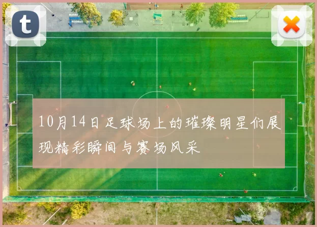 10月14日足球场上的璀璨明星们展现精彩瞬间与赛场风采