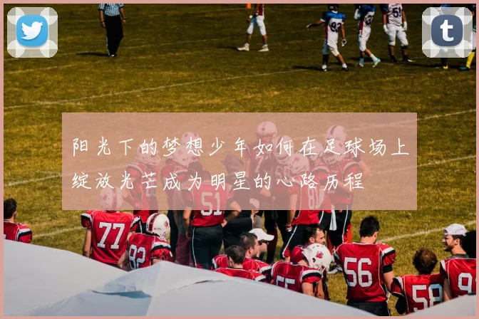 阳光下的梦想少年如何在足球场上绽放光芒成为明星的心路历程