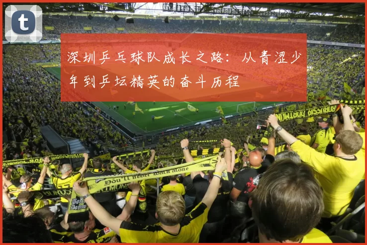 深圳乒乓球队成长之路：从青涩少年到乒坛精英的奋斗历程