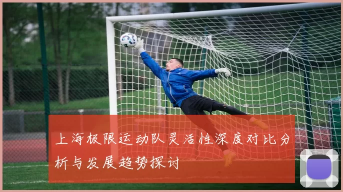 上海极限运动队灵活性深度对比分析与发展趋势探讨