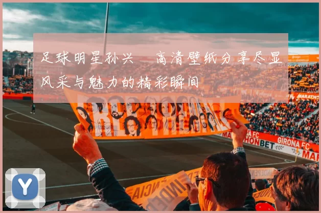 足球明星孙兴慜高清壁纸分享尽显风采与魅力的精彩瞬间