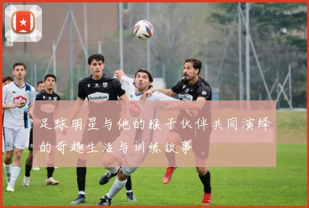 足球明星与他的猴子伙伴共同演绎的奇趣生活与训练故事
