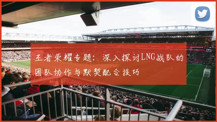王者荣耀专题：深入探讨LNG战队的团队协作与默契配合技巧