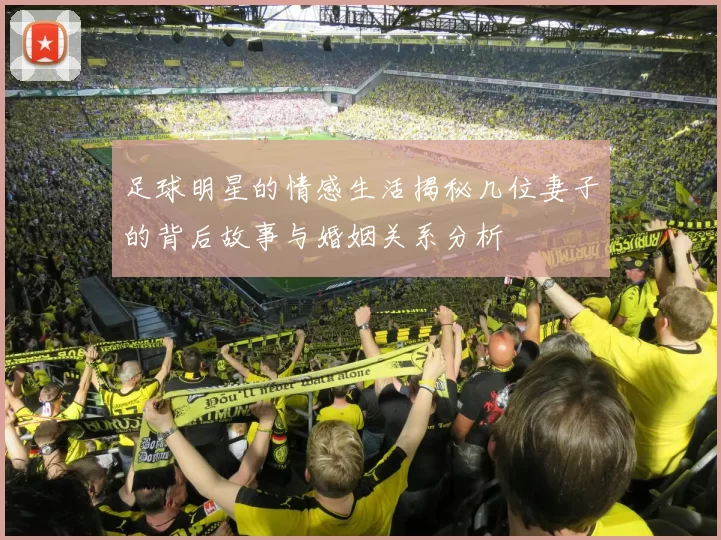 足球明星的情感生活揭秘几位妻子的背后故事与婚姻关系分析