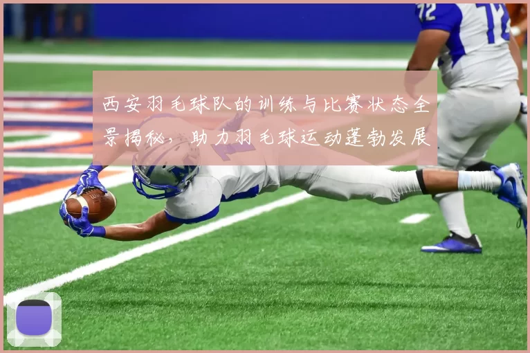 西安羽毛球队的训练与比赛状态全景揭秘，助力羽毛球运动蓬勃发展