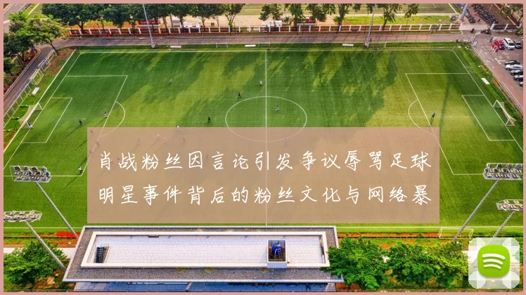 肖战粉丝因言论引发争议辱骂足球明星事件背后的粉丝文化与网络暴力探讨