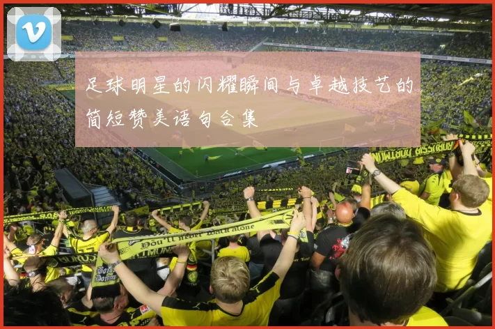 足球明星的闪耀瞬间与卓越技艺的简短赞美语句合集