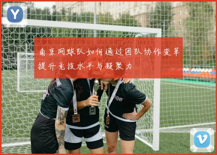 南京网球队如何通过团队协作变革提升竞技水平与凝聚力
