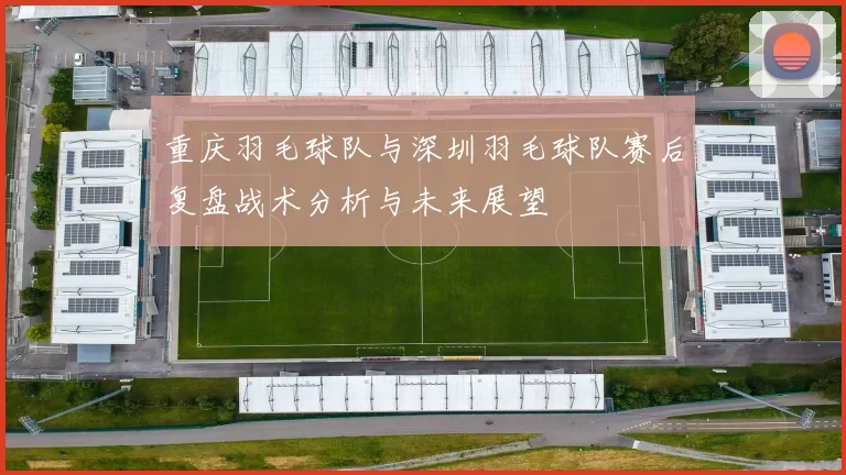 重庆羽毛球队与深圳羽毛球队赛后复盘战术分析与未来展望
