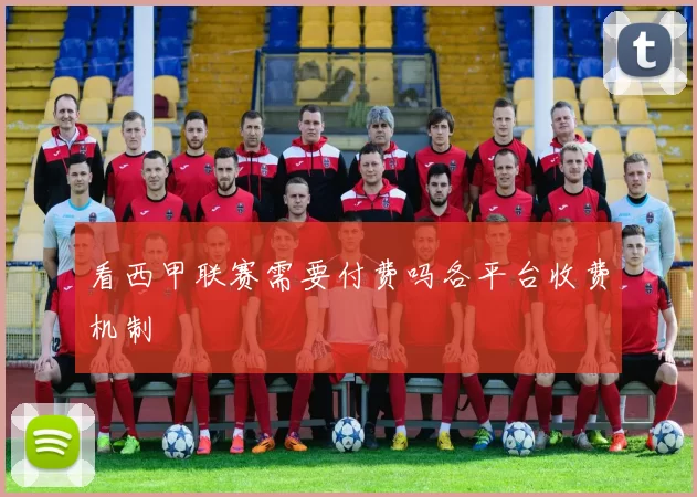 看西甲联赛需要付费吗各平台收费机制