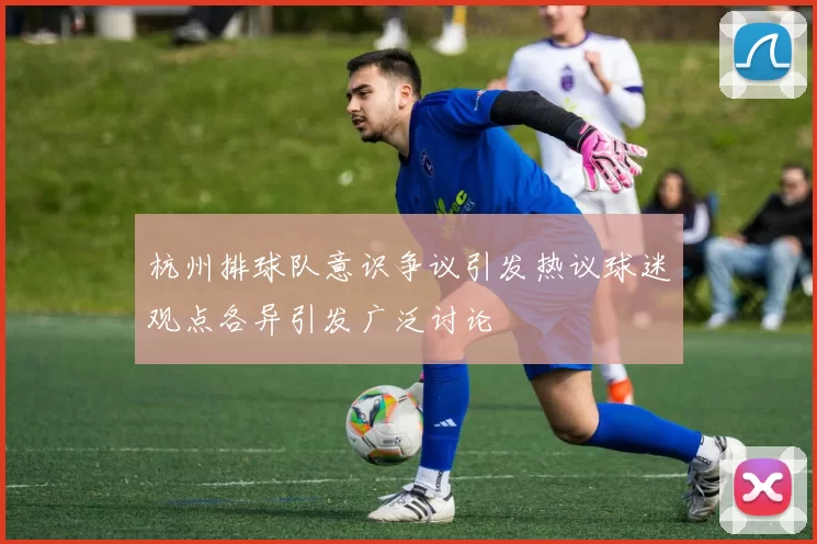 杭州排球队意识争议引发热议球迷观点各异引发广泛讨论