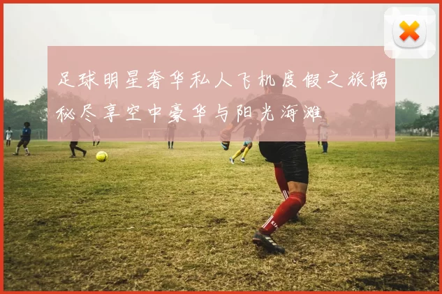 足球明星奢华私人飞机度假之旅揭秘尽享空中豪华与阳光海滩