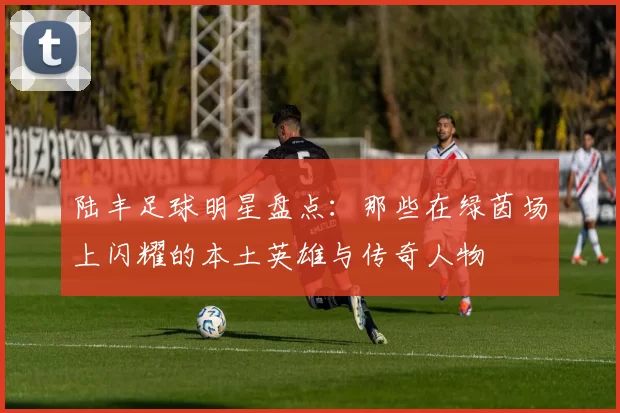 陆丰足球明星盘点：那些在绿茵场上闪耀的本土英雄与传奇人物