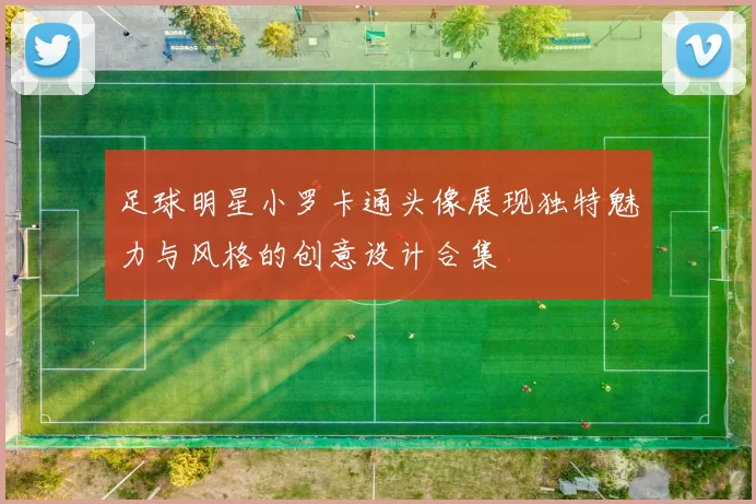足球明星小罗卡通头像展现独特魅力与风格的创意设计合集