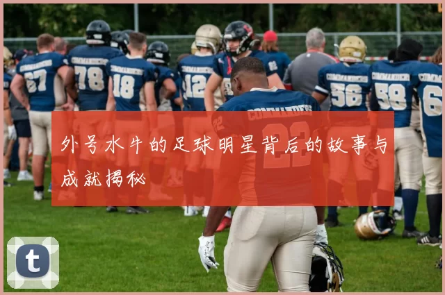 外号水牛的足球明星背后的故事与成就揭秘