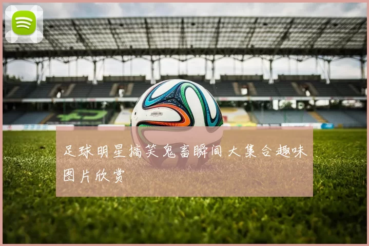 足球明星搞笑鬼畜瞬间大集合趣味图片欣赏