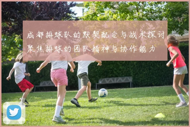 成都排球队的默契配合与战术探讨聚焦排球的团队精神与协作能力