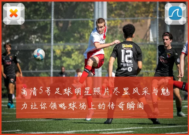 高清5号足球明星照片尽显风采与魅力让你领略球场上的传奇瞬间