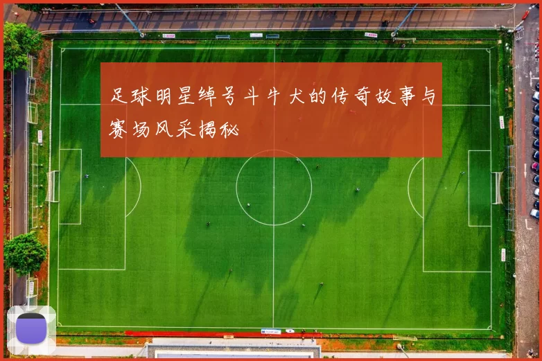 足球明星绰号斗牛犬的传奇故事与赛场风采揭秘