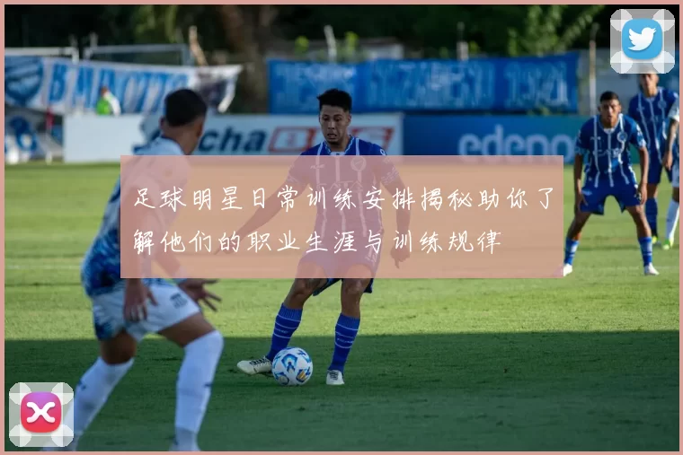 足球明星日常训练安排揭秘助你了解他们的职业生涯与训练规律