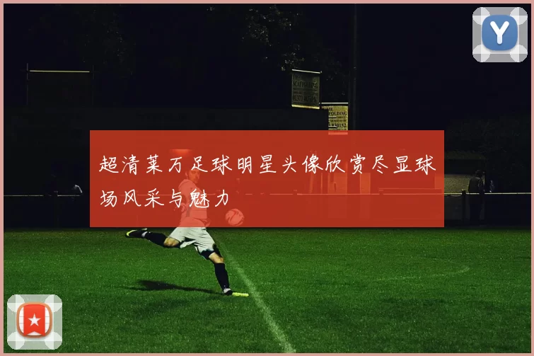 超清莱万足球明星头像欣赏尽显球场风采与魅力