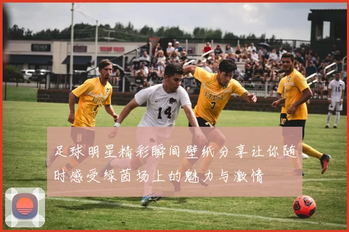 足球明星精彩瞬间壁纸分享让你随时感受绿茵场上的魅力与激情