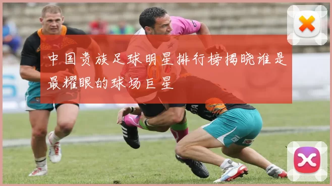中国贵族足球明星排行榜揭晓谁是最耀眼的球场巨星