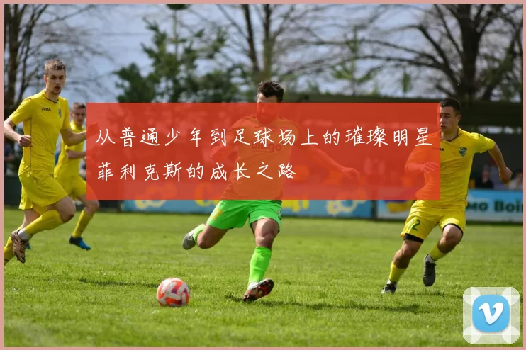 从普通少年到足球场上的璀璨明星菲利克斯的成长之路