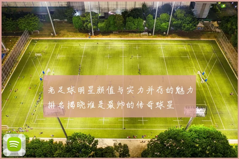 老足球明星颜值与实力并存的魅力排名揭晓谁是最帅的传奇球星