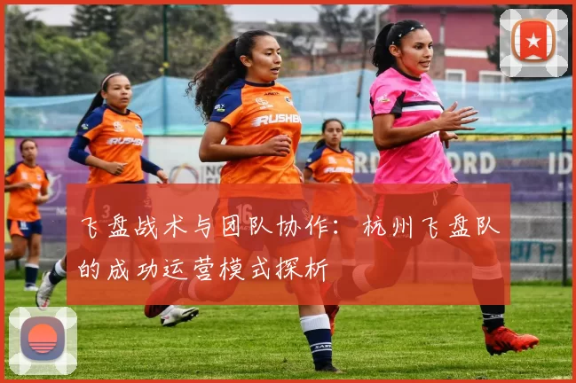 飞盘战术与团队协作：杭州飞盘队的成功运营模式探析