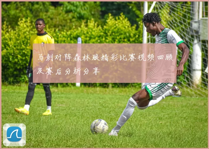 马刺对阵森林狼精彩比赛视频回顾及赛后分析分享