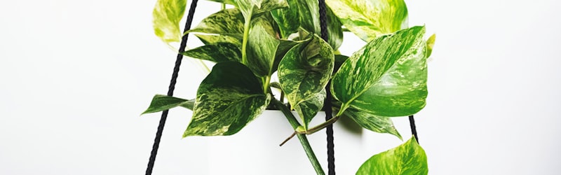 梅西在训练中展示精湛球技