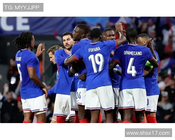 法国足球甲级联赛发展历程与现状分析：球队竞争力与未来展望